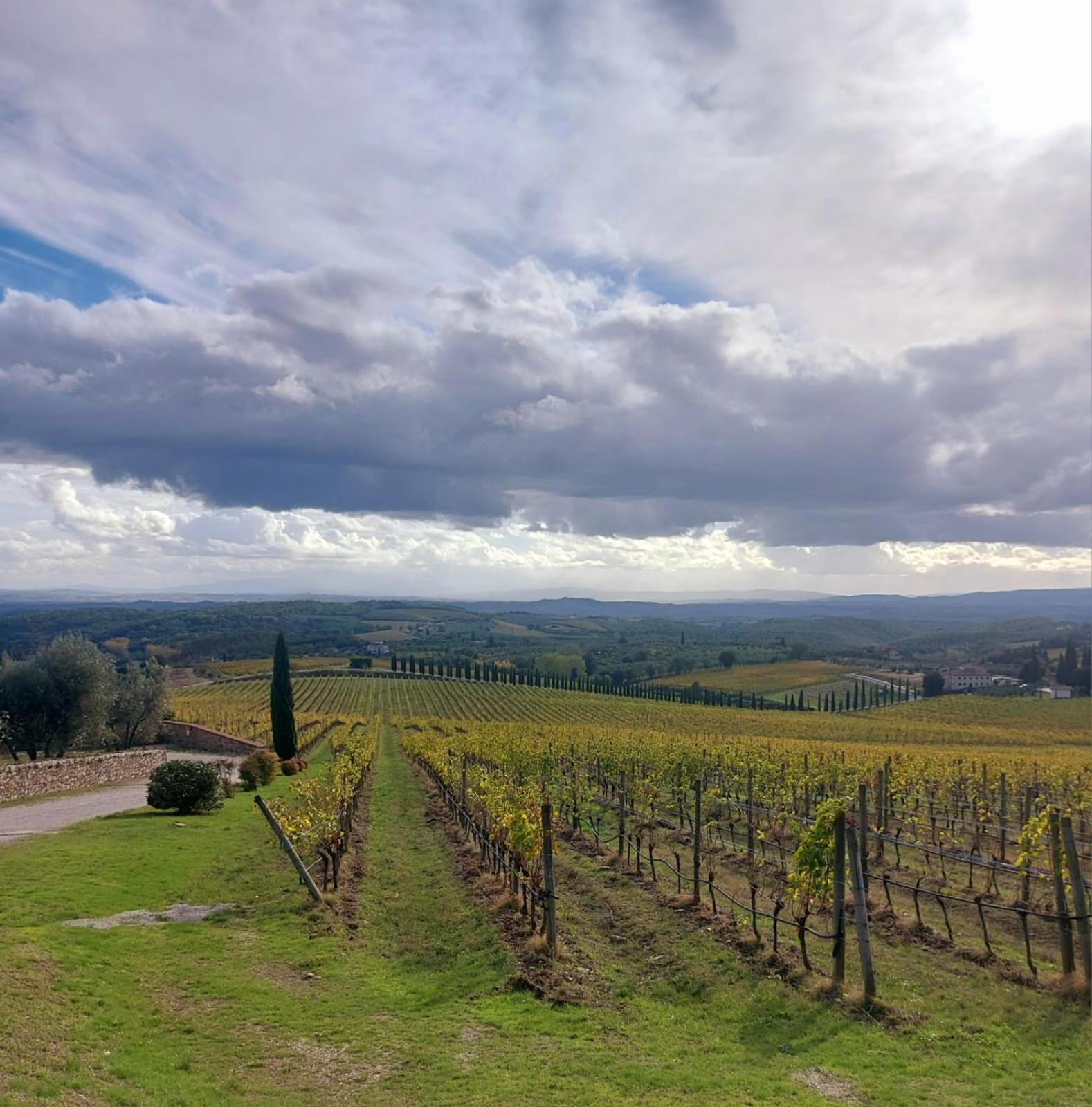 House With A View In Tuscany San Gusme ภายนอก รูปภาพ