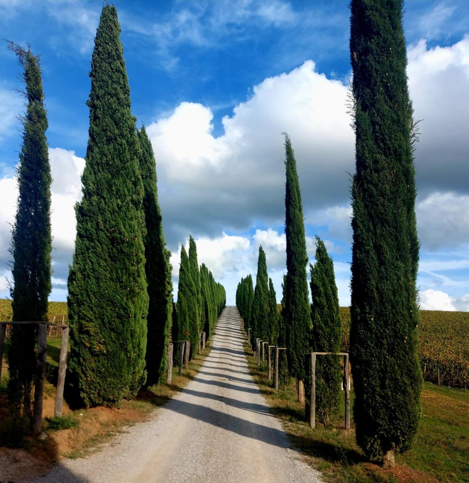 House With A View In Tuscany San Gusme ภายนอก รูปภาพ
