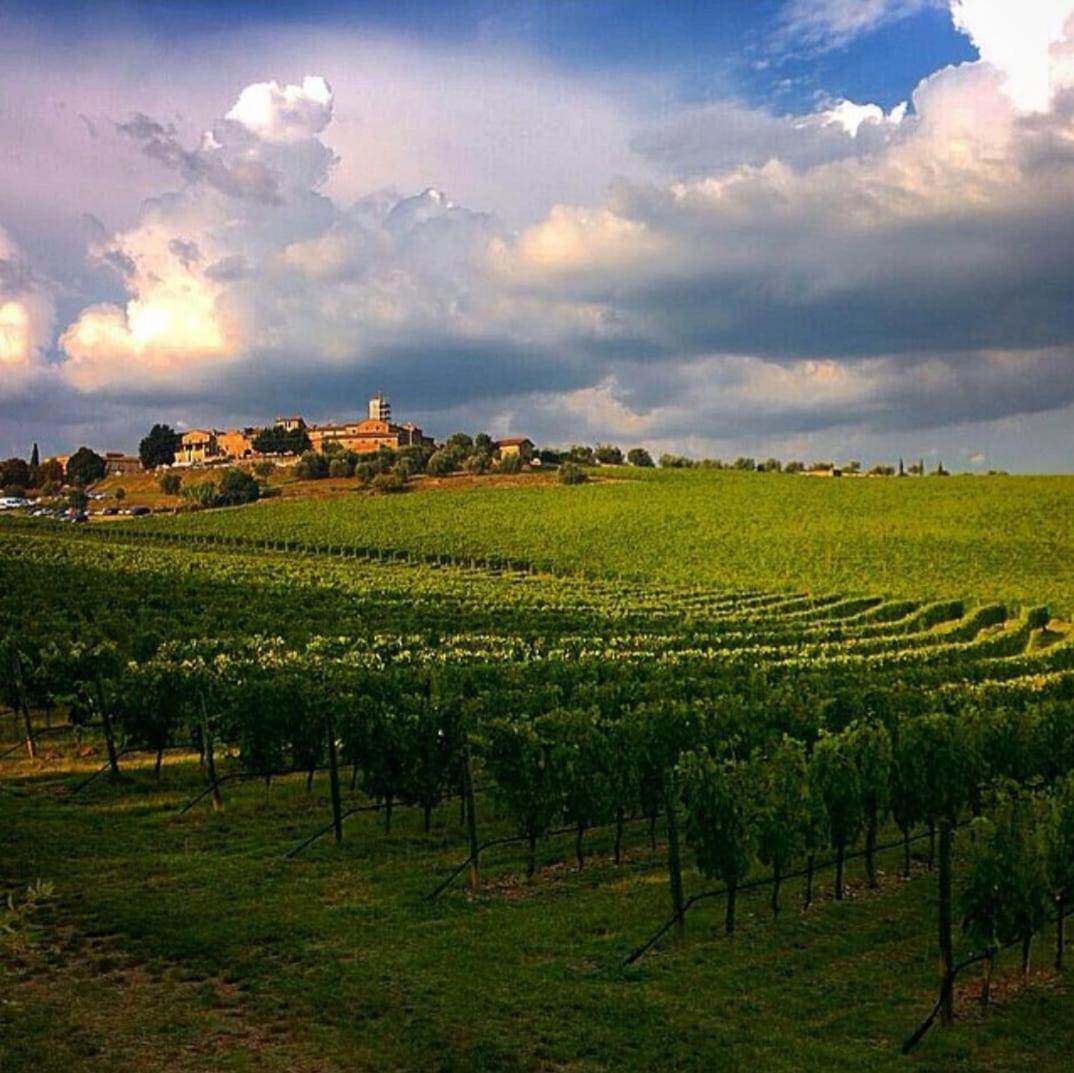 House With A View In Tuscany San Gusme ภายนอก รูปภาพ